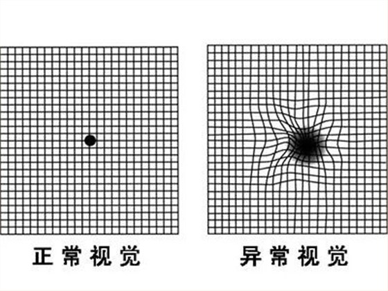 图片4