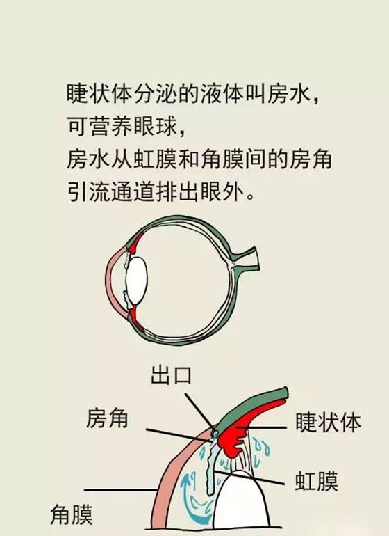 图片6