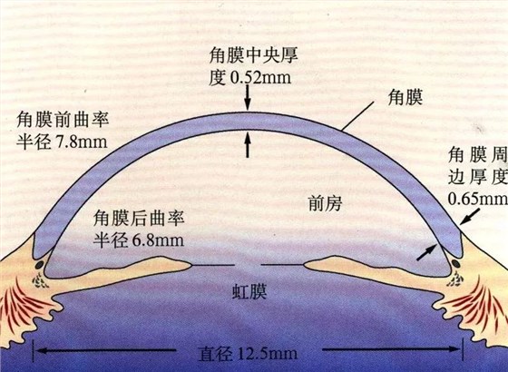 图片19