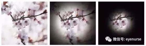图片8 图片8