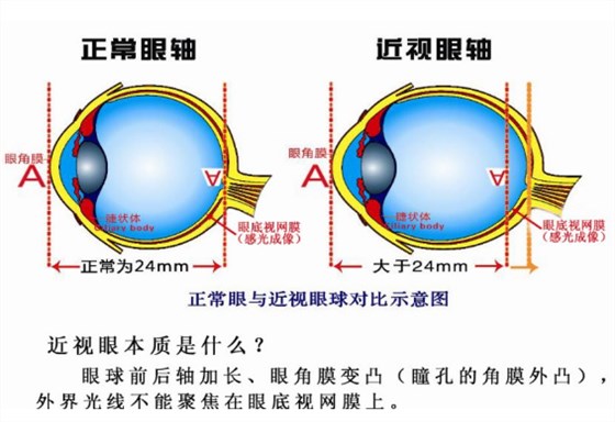 微信截图_20200410131124