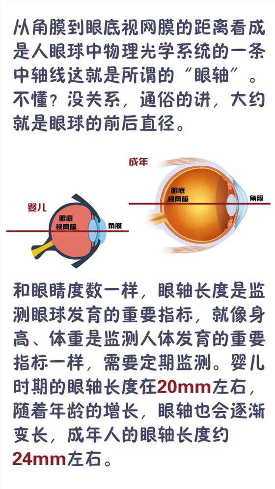 图片 3