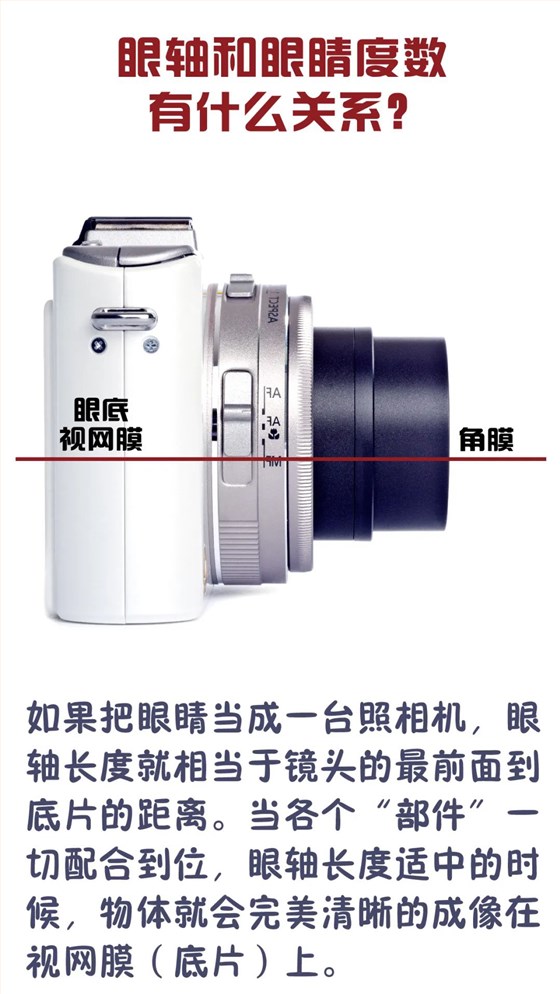 图片 4 图片 4