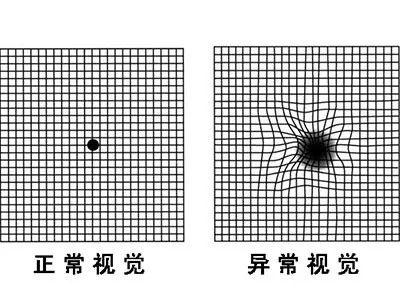 图片4