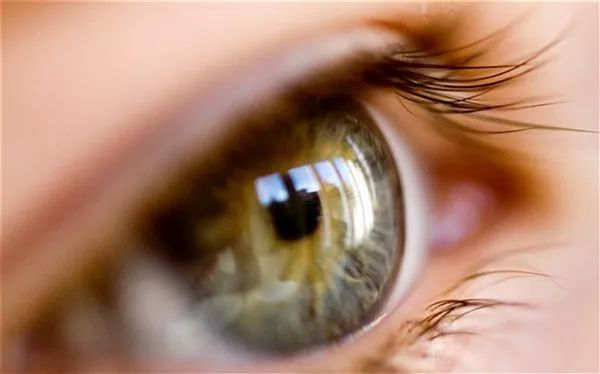 同仁眼科专家刘武：左眼视网膜脱落，右眼也会脱落吗？