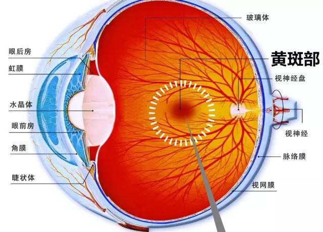 同仁眼科专家魏文斌：在黑暗中看手机会患上“眼癌”？