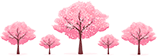 图片3 图片3