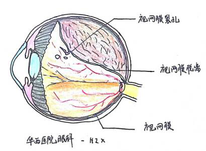 图片3 图片3