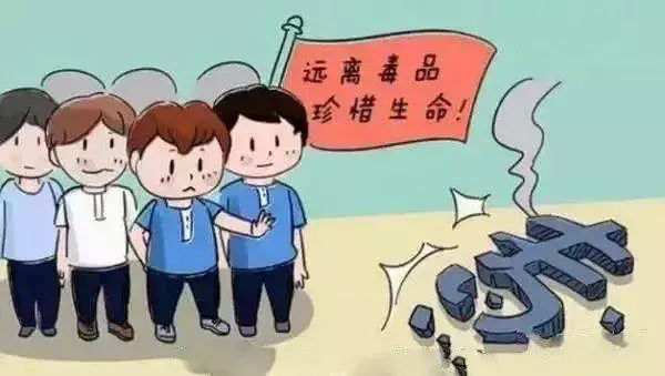 图片8